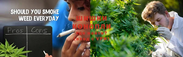 гидра Балахна
