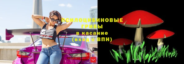 гидра Балахна