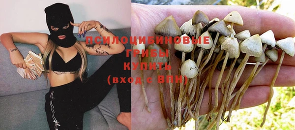 мяу мяу мука Балабаново