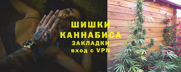 гидра Балахна